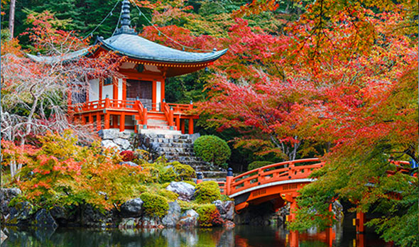 Exec Avenue Japon Tokyo